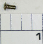 31A-1000AF Screw, Bail Cam Screw