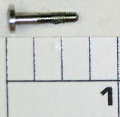 36-1000AF Screw, Roller Mounting Screw