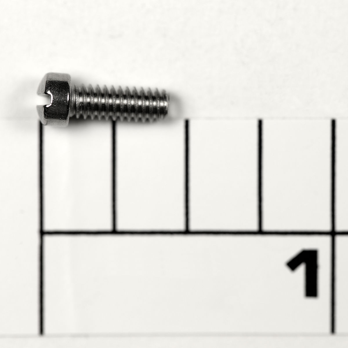 39-4CH Screw