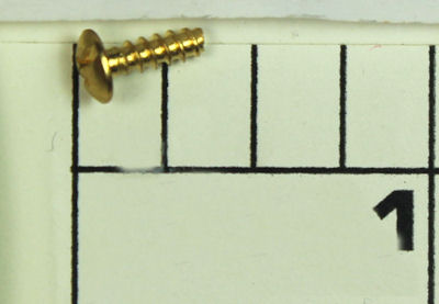 22-6000CV Screw, Cover Screw (uses 2)