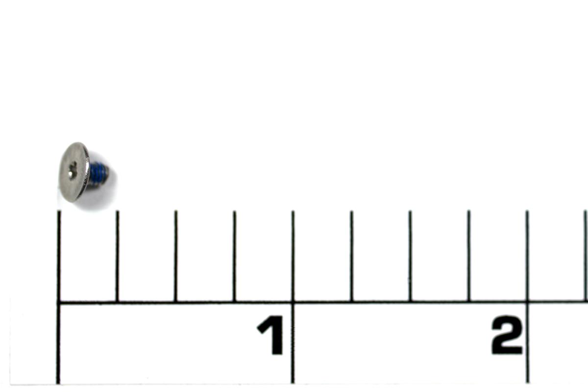 43C-SSV5500 Screw, Oscillation Slider Bushing Screw (Crosswind Bushing Screw) (Phillips Thin Head)