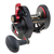 Penn FTH30LD Fathom Lever Drag Reel