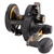 Penn FTH30LD2 Fathom Lever Drag 2-Speed Reel