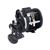 Penn Rival RVL30LWLC Level Wind Reel