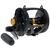 Penn SQL50VSW Squall Lever Drag 2 Speed Reel