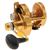 Penn TRQ25NLD2 Torque 2-Speed Reel